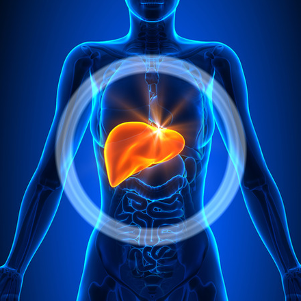 WARNING!  What you should know about your Liver Heath