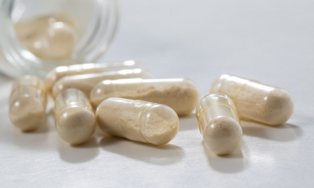The best probiotic strains for supporting gut health.